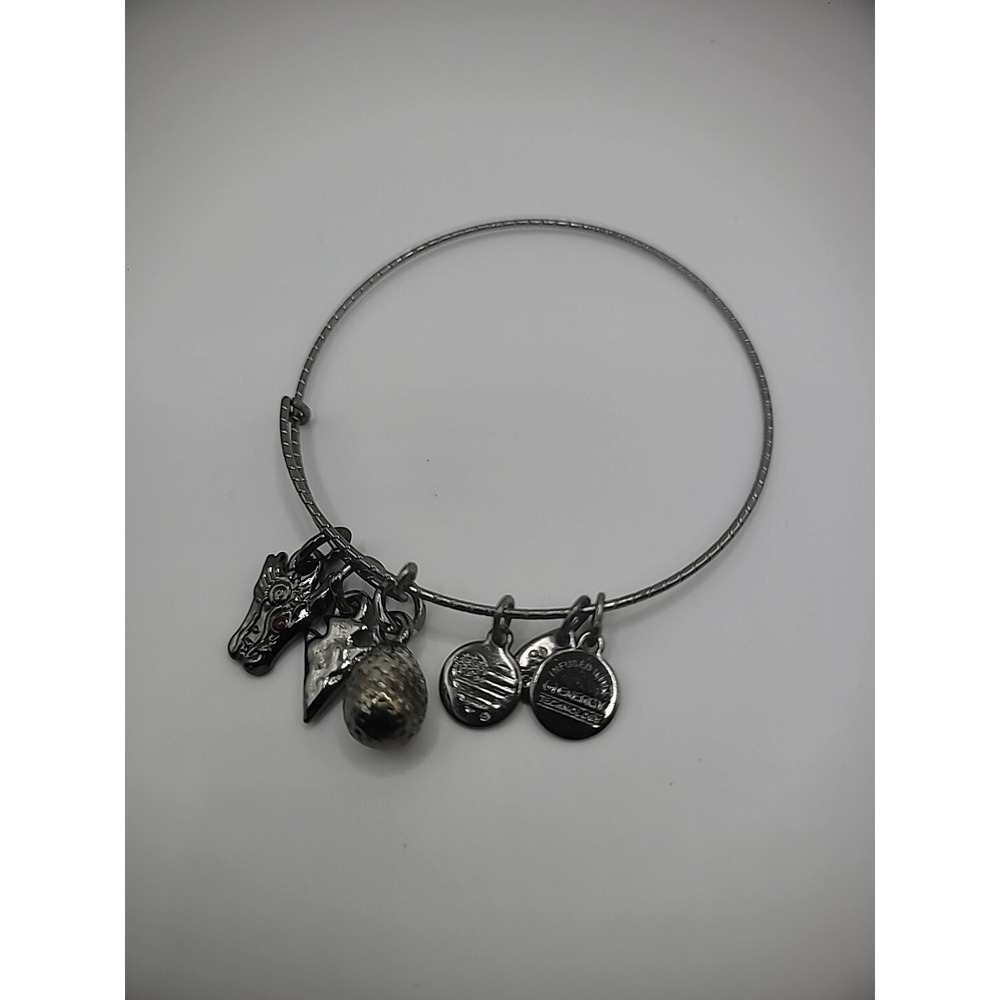 Vintage Alex and Ani Womens Silver Tone Bracelet Charms Egg‎ Arrowhead Jewelry